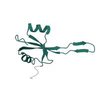 The deposited structure of PDB entry 6spg contains 1 copy of Pfam domain PF00276 (Ribosomal protein L23) in Large ribosomal subunit protein uL23. Showing 1 copy in chain OA [auth T].