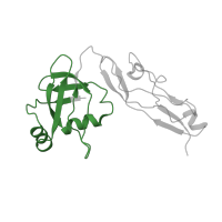 The deposited structure of PDB entry 6spg contains 1 copy of Pfam domain PF01386 (Ribosomal L25p family) in Large ribosomal subunit protein bL25. Showing 1 copy in chain QA [auth V].