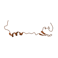 The deposited structure of PDB entry 6spg contains 1 copy of Pfam domain PF01783 (Ribosomal L32p protein family) in Large ribosomal subunit protein bL32. Showing 1 copy in chain WA [auth 2].