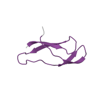 The deposited structure of PDB entry 6spg contains 1 copy of Pfam domain PF00471 (Ribosomal protein L33) in Large ribosomal subunit protein bL33. Showing 1 copy in chain XA [auth 3].