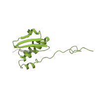 The deposited structure of PDB entry 6spg contains 1 copy of Pfam domain PF00380 (Ribosomal protein S9/S16) in Small ribosomal subunit protein uS9. Showing 1 copy in chain I [auth i].