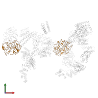 Unassigned secondary structure elements (proposed FANCB) in PDB entry 6sri, assembly 1, front view.