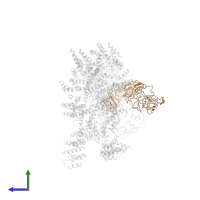 Unassigned secondary structure elements (proposed FANCB) in PDB entry 6sri, assembly 1, side view.