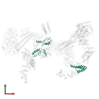 Unassigned secondary structure elements (central region, proposed FANCB-FAAP100: chain A,a; base region, proposed FANCC-FANC-E-FANCF: chain 3) in PDB entry 6sri, assembly 1, front view.