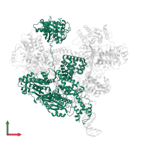 RecBCD enzyme subunit RecB in PDB entry 6t2u, assembly 1, front view.