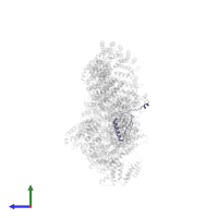 SCA7 domain-containing protein in PDB entry 6tb4, assembly 1, side view.