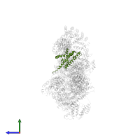 Subunit of the SAGA and SAGA-like transcriptional regulatory complexes, interacts with Spt15p to act in PDB entry 6tb4, assembly 1, side view.