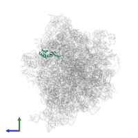 Large ribosomal subunit protein uL16 in PDB entry 6tbv, assembly 1, side view.