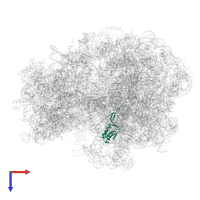 Large ribosomal subunit protein uL16 in PDB entry 6tbv, assembly 1, top view.