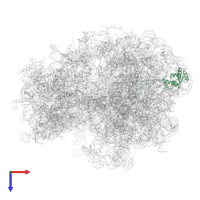 Large ribosomal subunit protein uL4 in PDB entry 6tc3, assembly 1, top view.