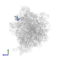 Large ribosomal subunit protein bL25 in PDB entry 6tc3, assembly 1, side view.