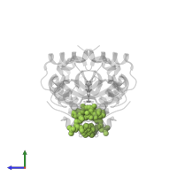 ACETYL COENZYME *A in PDB entry 6tdf, assembly 1, side view.