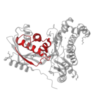 The deposited structure of PDB entry 6tep contains 4 copies of Pfam domain PF00288 (GHMP kinases N terminal domain) in Galactokinase. Showing 1 copy in chain D [auth B].