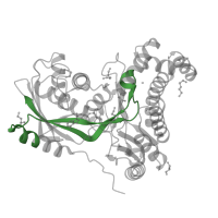 The deposited structure of PDB entry 6tep contains 4 copies of Pfam domain PF10509 (Galactokinase galactose-binding signature) in Galactokinase. Showing 1 copy in chain D [auth B].