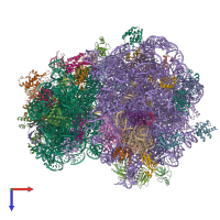 PDB entry 6th6 coloured by chain, top view.