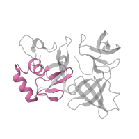 The deposited structure of PDB entry 6tmf contains 1 copy of Pfam domain PF01479 (S4 domain) in Small ribosomal subunit protein eS4. Showing 1 copy in chain F.