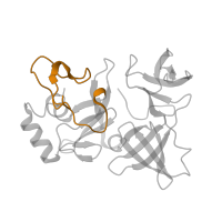 The deposited structure of PDB entry 6tmf contains 1 copy of Pfam domain PF08071 (RS4NT (NUC023) domain) in Small ribosomal subunit protein eS4. Showing 1 copy in chain F.