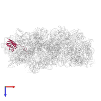 Small ribosomal subunit protein uS9 in PDB entry 6tmf, assembly 1, top view.
