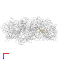 Small ribosomal subunit protein uS17 in PDB entry 6tmf, assembly 1, top view.