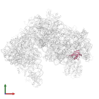 Small ribosomal subunit protein eS24 in PDB entry 6tmf, assembly 1, front view.