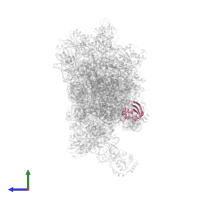 Small ribosomal subunit protein eS24 in PDB entry 6tmf, assembly 1, side view.