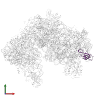 Small ribosomal subunit protein eS6 in PDB entry 6tmf, assembly 1, front view.