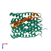 Hetero octameric assembly 2 of PDB entry 6tms coloured by chemically distinct molecules, top view.