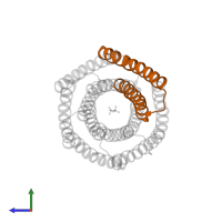 a novel designed pore protein in PDB entry 6tms, assembly 2, side view.