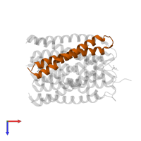 a novel designed pore protein in PDB entry 6tms, assembly 2, top view.