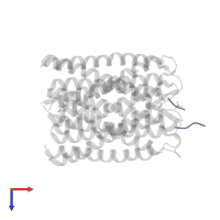 affinity purification tag in PDB entry 6tms, assembly 2, top view.