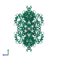 Homo tetrameric assembly 1 of PDB entry 6tti coloured by chemically distinct molecules, side view.