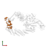 S-phase kinase-associated protein 1 in PDB entry 6ttu, assembly 1, front view.