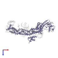 Cullin-1 in PDB entry 6ttu, assembly 1, top view.