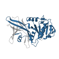 The deposited structure of PDB entry 6tzy contains 4 copies of Pfam domain PF08235 (LNS2 (Lipin/Ned1/Smp2)) in LNS2/PITP domain-containing protein. Showing 1 copy in chain A.