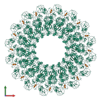 Homo 16-meric assembly 1 of PDB entry 6u2w coloured by chemically distinct molecules, front view.