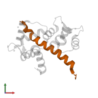 Voltage-dependent L-type calcium channel subunit alpha-1C in PDB entry 6u3b, assembly 1, front view.