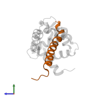 Voltage-dependent L-type calcium channel subunit alpha-1C in PDB entry 6u3b, assembly 1, side view.