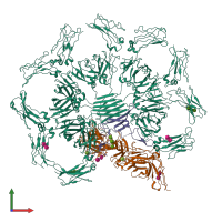 Hetero dodecameric assembly 1 of PDB entry 6uea coloured by chemically distinct molecules, front view.