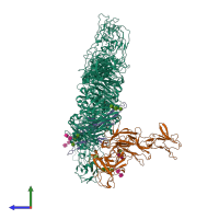 Hetero dodecameric assembly 1 of PDB entry 6uea coloured by chemically distinct molecules, side view.