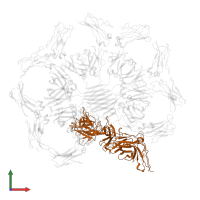 Secretory component in PDB entry 6uea, assembly 1, front view.