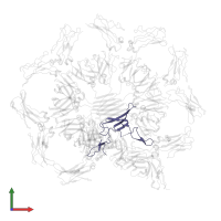 Immunoglobulin J chain in PDB entry 6uea, assembly 1, front view.