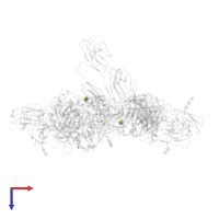 2-acetamido-2-deoxy-beta-D-glucopyranose in PDB entry 6uea, assembly 1, top view.