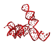 The deposited structure of PDB entry 6uet contains 1 copy of Rfam domain RF00634 (S-adenosyl methionine (SAM) riboswitch,) in RNA (119-MER). Showing 1 copy in chain A.