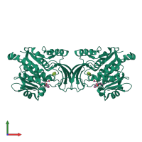 Homo dimeric assembly 1 of PDB entry 6ul7 coloured by chemically distinct molecules, front view.