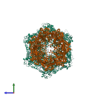 Hetero 22-meric assembly 1 of PDB entry 6uqo coloured by chemically distinct molecules, side view.