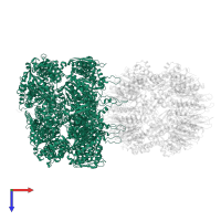 ATP-dependent Clp protease ATP-binding subunit ClpA in PDB entry 6uqo, assembly 1, top view.
