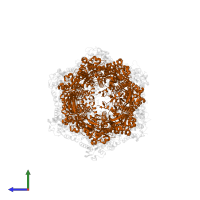 ATP-dependent Clp protease proteolytic subunit in PDB entry 6uqo, assembly 1, side view.