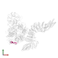 PAS RNA in PDB entry 6uro, assembly 1, front view.