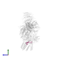 PAS RNA in PDB entry 6uro, assembly 1, side view.