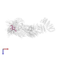 PAS RNA in PDB entry 6uro, assembly 1, top view.